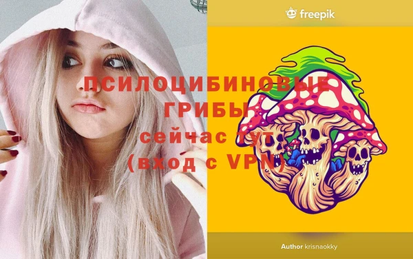дживик Алексеевка